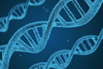 Berapa harga tes DNA di Indonesia?