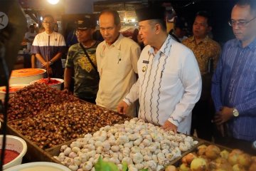 Melonjak 100 persen,  Pemprov Sumbar genjot bawang putih lokal