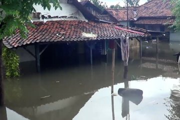 Ratusan warga Pekalongan mengungsi akibat banjir