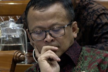 Edhy Prabowo akan rampungkan aturan penggunaan cantrang