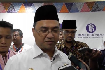 Gubernur Babel sambut baik kebijakan diskon tiket pesawat 50 persen