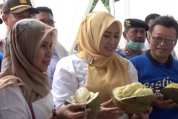 Adu unggul durian khas Pandeglang di Sub Terminal Cadasari
