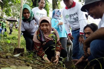 Aksi tanam seribu pohon sukseskan program NTB hijau