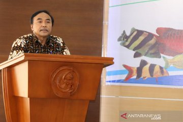 KKP: Model klaster percepat optimalisasi budidaya perikanan