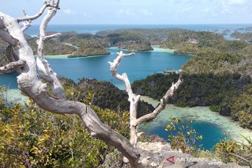 Resor asing larang operator wisata lokal kunjungi kawasan Raja Ampat