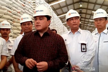 Erick Thohir: perdagangan beras jangan dimafiakan