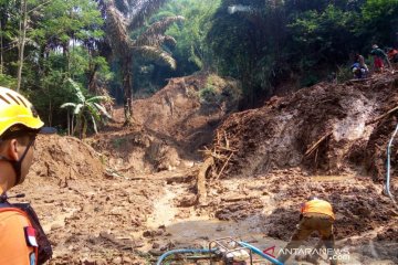 Petugas terjunkan anjing pelacak cari korban longsor di Tasikmalaya