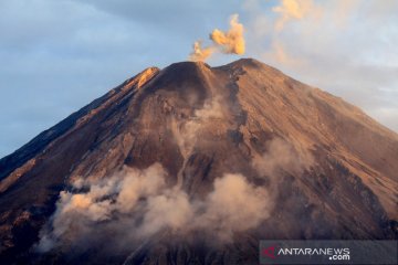 Aktivitas gunung Semeru meningkat