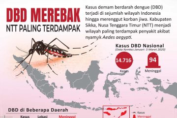 DBD merebak, NTT paling terdampak