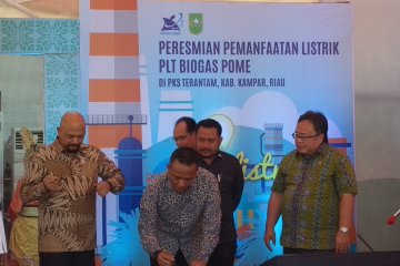 Menristek dorong PTPN V optimalkan listrik dari limbah sawit