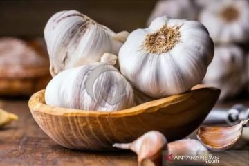 Kementan keluarkan rekomendasi impor 344.094 ton bawang putih China