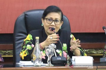 Putri Koster ingatkan perlu pendekatan hukum-budaya atasi KDRT