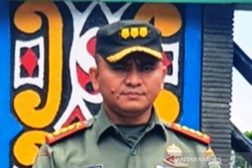 TNI tegaskan tak gentar hadapi ancaman KKB ganggu TMMD Kampung Kibay