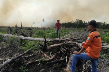 BPBA: Kebakaran lahan gambut di Aceh Jaya meluas capai 30 hektare