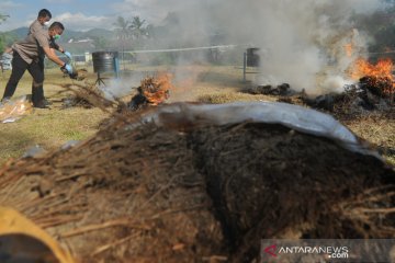 Pemusnahan 180 kg ganja di Padang