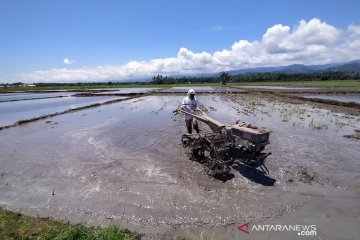 Petani Parigi garap sawah