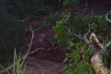 BPBD Garut: Longsor masih menutup jalan di Pakenjeng