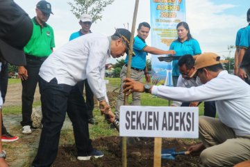 Adeksi lakukan aksi tanam 1.000 pohon di Mataram