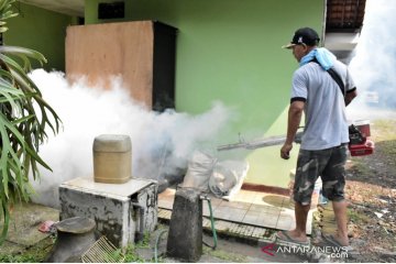 Cegah DBD dan demam dengue, jangan bosan bersihkan rumah