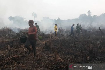 Petugas hadapi kendala padamkan kebakaran 9,5 hektare di Aceh Selatan