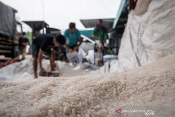 Stok beras di Jakarta sebanyak 300 ribu ton