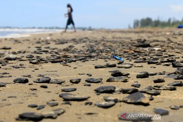Limbah batu bara cemari pantai Aceh Barat