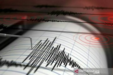 Getaran gempa magnitudo 3 dirasakan di Pacitan