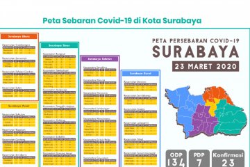 19 kelurahan di Surabaya terpapar kasus positif COVID-19