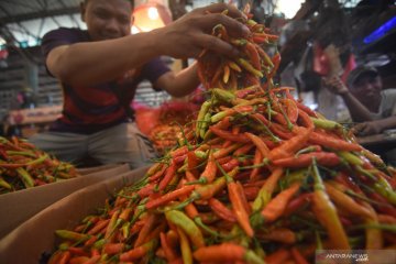 Pasar Jaya gelar "belanja dari rumah" di tengah wabah COVID-19