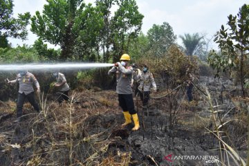 Madani sebut lima provinsi punya areal rawan karhutla terluas 2020