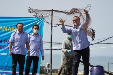 Menteri: Pembudidaya perlu produksi pangan rakyat di tengah COVID-19