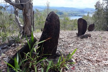 Peneliti minta situs arkeologi Papua ditutup cegah COVID-19
