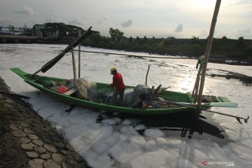 Sungai Tambak Wedi Surabaya berbusa akibat limbah rumah tangga