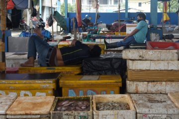 Pengecer ikan di Muara Angke akui pendapatan berkurang 70 persen