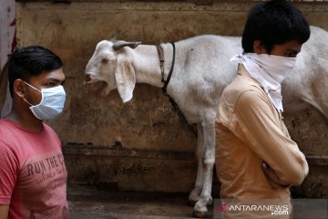 India peringatkan perpanjangan karantina