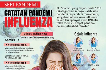 Catatan pandemi influenza