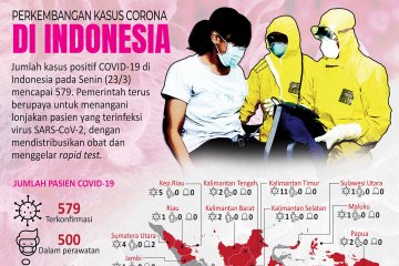 Perkembangan kasus corona di Indonesia