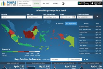 Harga bawang putih di Jakarta turun jadi Rp54.150 per kg