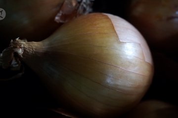 Harga Bawang Bombai melonjak pengusaha kuliner beralih ke bawang lokal