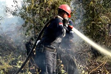 967 Ha hutan dan lahan di Riau ludes terbakar
