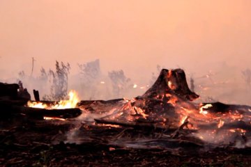 Karhutla meluas, tim gabungan di Aceh terus berjibaku padamkan api