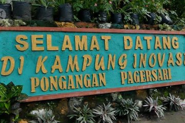 Para perempuan dusun yang membangun rumah pangan mandiri