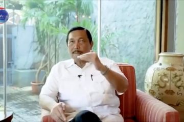 Perihal mudik, ini kata Menteri Luhut