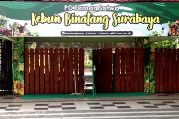 Cegah penyebaran corona, Kebun Binatang Surabaya diutup