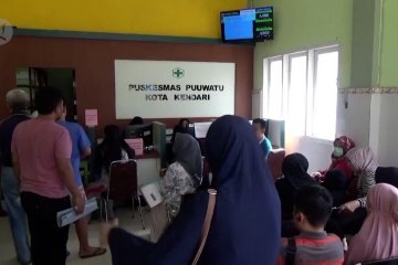 Hingga Maret, Puskesmas Puuwatu telah merawat 51 pasien DBD