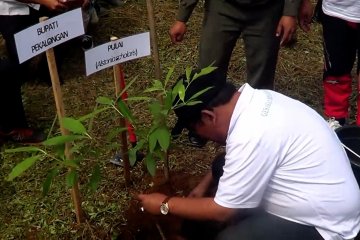 Aksi reboisasi selamatkan 30 ribu hektar lahan kritis di Pekalongan