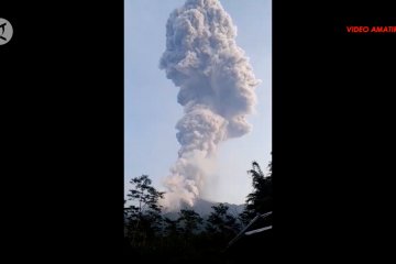 Gunung Merapi  semburkan abu vulkanik sejauh 6 km