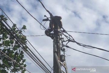 Damkar Jaktim  evakuasi ular sanca di atas tiang listrik di Cipayung