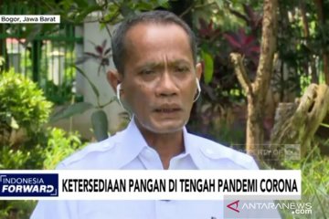 Kementan akui karantina wilayah hambat distribusi pangan ke Jakarta