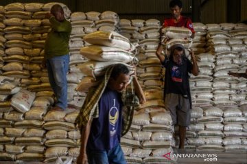Stok beras Bulog hadapi pandemi COVID-19